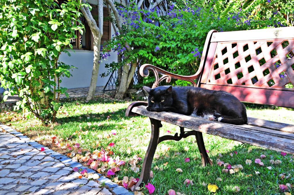 Uma Casa A Beira Sol Bed & Breakfast Lagos Luaran gambar